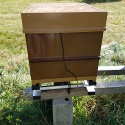 Sonde de température à introduire dans la ruche