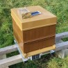 Option - Panneau solaire 5W