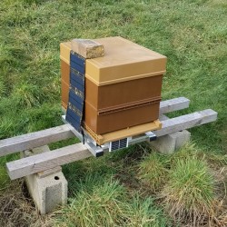 Option - Panneau solaire 30W